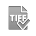 Format, checkmark, File, Tiff Icon