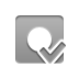 checkmark, record DarkGray icon