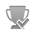 checkmark, trophy DarkGray icon