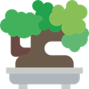 plant, japan, Bonsai, nature, Botanical Silver icon