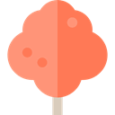 nature, Tree, ecology, maple, Botanical Coral icon