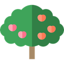 Tree, Apple Tree, Botanical, ecology, nature MediumSeaGreen icon