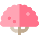 Cherry Tree, ecology, Tree, nature, Botanical LightCoral icon