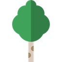Tree, Botanical, birch, nature, ecology Black icon