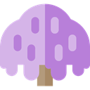 Tree, Wisteria, Botanical, ecology, nature Orchid icon