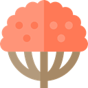 Botanical, Tree, nature, ecology Coral icon