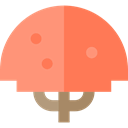 maple, ecology, Tree, nature, Botanical Coral icon