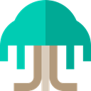 ecology, Tree, nature, Botanical DarkTurquoise icon