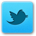 twitter, bird DeepSkyBlue icon