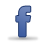 Facebook Gray icon
