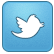twitter CornflowerBlue icon