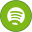 Spotify, variation YellowGreen icon