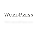 Wordpress, Mirror Black icon