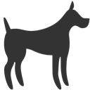 dog DarkSlateGray icon