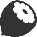 Hazelnut DarkSlateGray icon