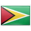 Guyana Black icon
