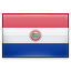 Paraguay Black icon