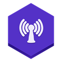radio SlateBlue icon