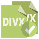 Divx, Format, File, checkmark DarkKhaki icon