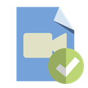 video, type, File, checkmark CornflowerBlue icon
