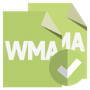 File, checkmark, Wma, Format DarkKhaki icon
