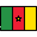 Country, flag, Nation, Cameroon, flags Gold icon
