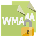Format, Lock, open, File, Wma DarkKhaki icon
