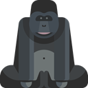 Animal, Animal Kingdom, gorilla, Wild Life, Animals, zoo DarkSlateGray icon