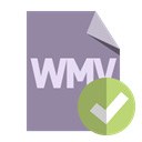Wmv, File, Format, checkmark LightSlateGray icon