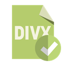 Format, checkmark, File, Divx DarkKhaki icon