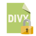 Divx, Format, Lock, File DarkKhaki icon