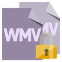 Lock, Format, File, Wmv LightSlateGray icon