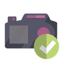 checkmark, Camera DimGray icon