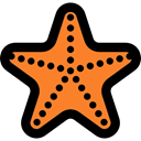 Sea Star, Animals, life, Fivepointed, star, Animal, outline, Starfish, Sea Life Black icon