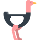 zoo, Animals, Animal, Wild Life, ostrich, Animal Kingdom Black icon