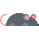 wildlife, mammal, pet, Animal Kingdom, rodent, Mouse, Animals Black icon