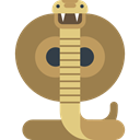cobra, dangerous, Animals, venom, poison, Animal, snake Peru icon