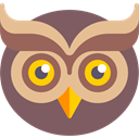 bird, hunter, Animals, owl DimGray icon