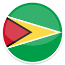 Guyana MediumSeaGreen icon