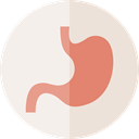 Body Parts, stomach, Anatomy, medical, organ, Healthcare And Medical Linen icon