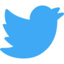 social network, twitter, Logos, logotype, social media, Logo DodgerBlue icon