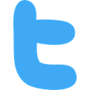 social network, social media, twitter, logotype, Logo, Logos DodgerBlue icon