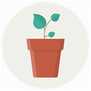 Flower, pot, plant, grow, seed, leaves, eco Icon