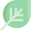 leaves, nature, leave, Leaf, garden, Botanical, plant, travel LightGreen icon
