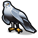 Animal, hawk Black icon