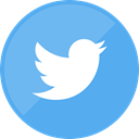 social media, website, twitter CornflowerBlue icon