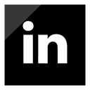 Logo, media, Linkedin, Social Black icon