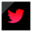 Logo, twitter, media, Social Black icon