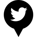 Logo, media, twitter, Social Black icon