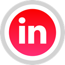 Social, media, Logo, Linkedin LightGray icon